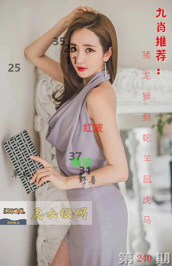 美女报码 第240期