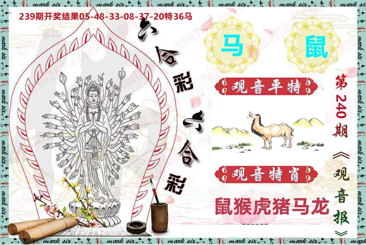 观音报 第240期