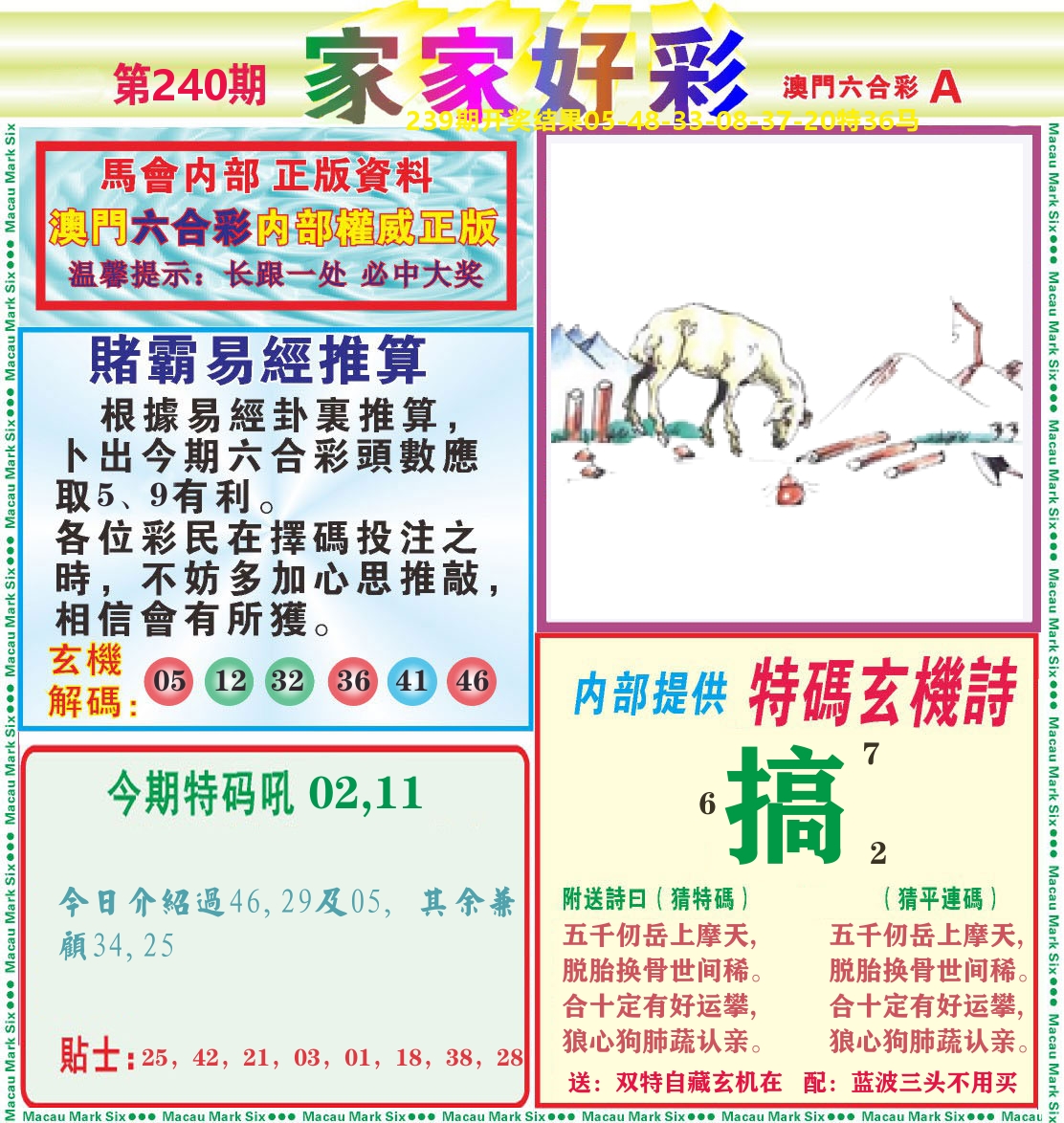 家家好彩A 第240期