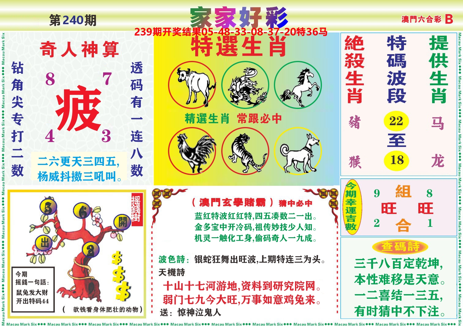家家好彩B 第240期