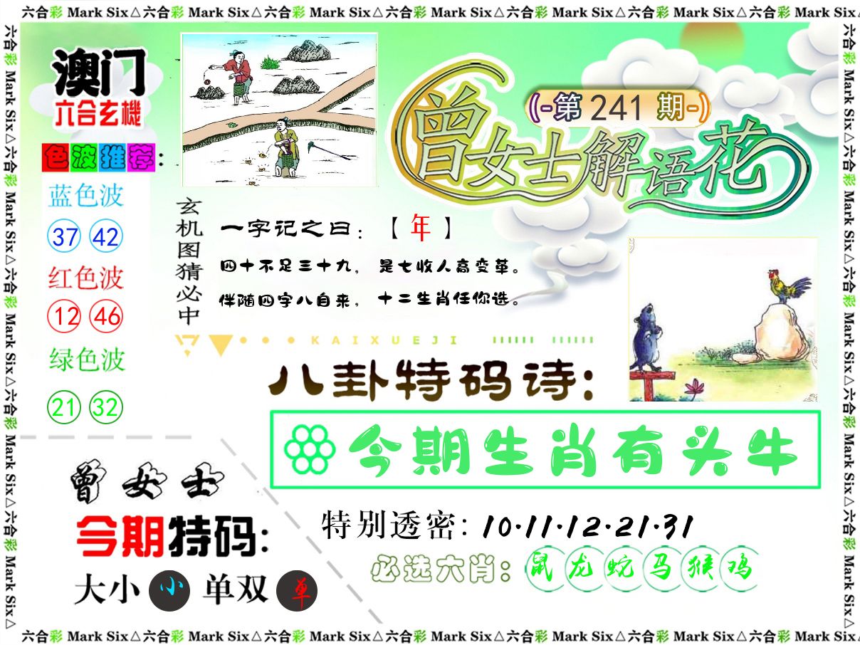 曾女士解语花 第241期
