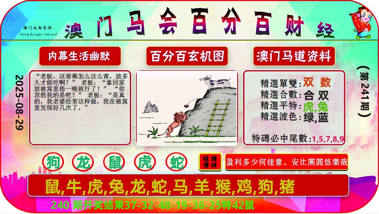 百分百财经 第241期