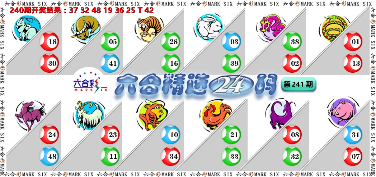 六合精选24码 第241期