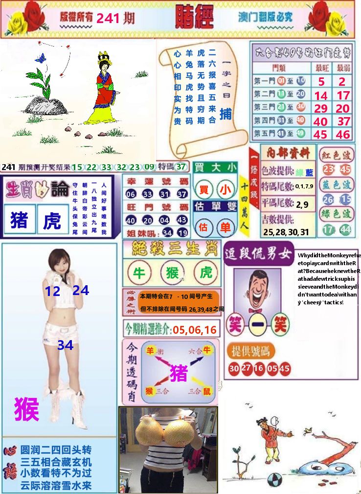 澳门赌经 第241期