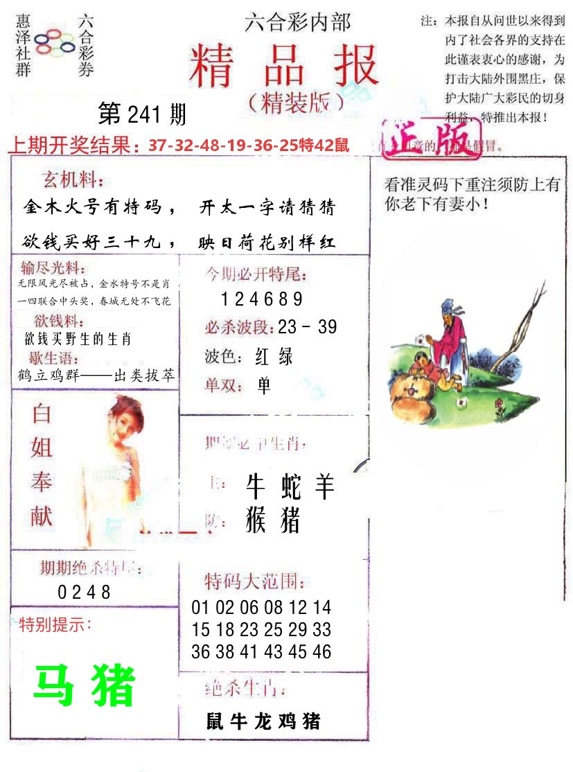 精品报 第241期
