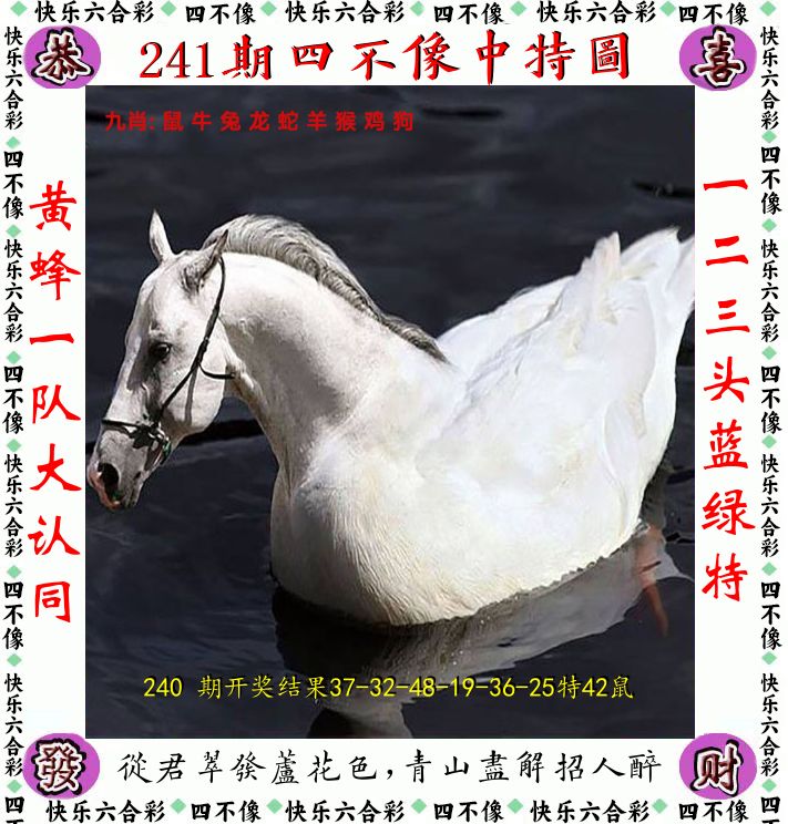 四不像 第241期