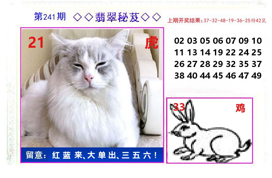 翡翠秘芨 第241期