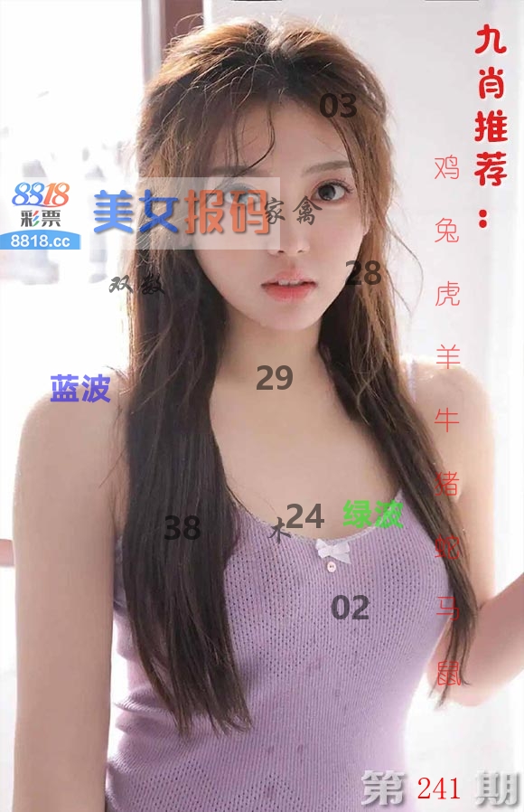 美女报码 第241期