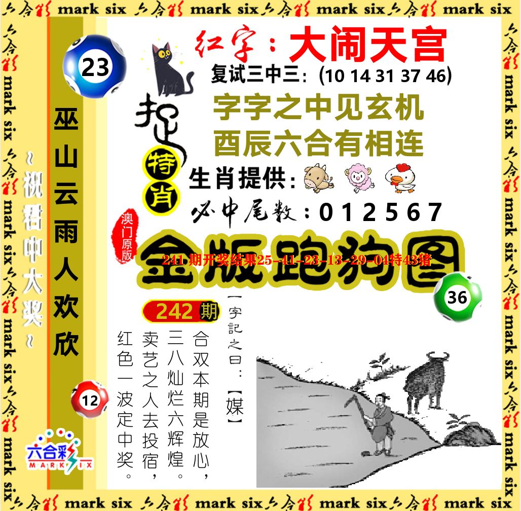 金版跑狗图 第242期