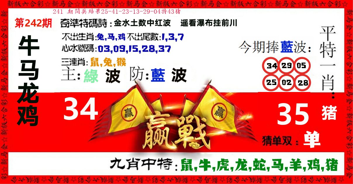 赢站 第242期