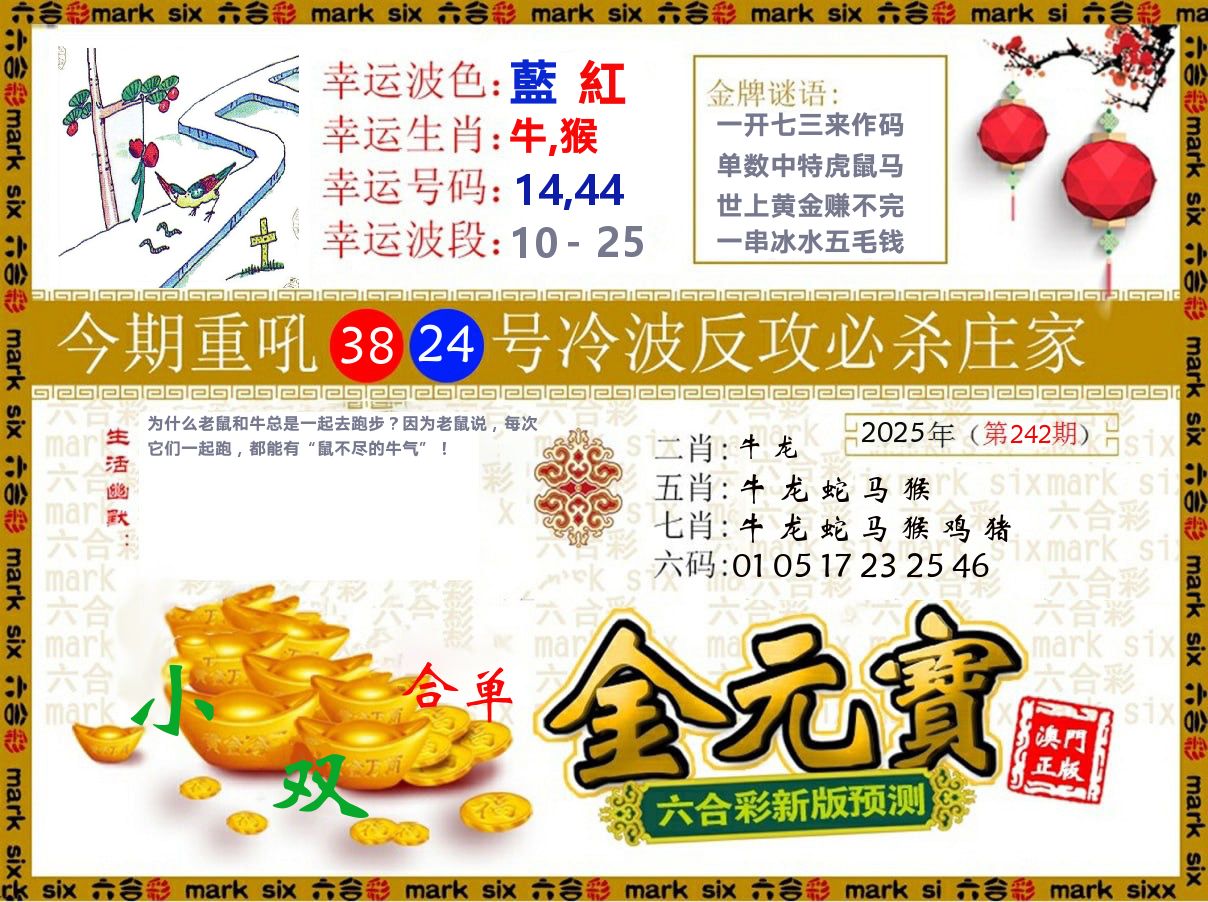 金元宝 第242期
