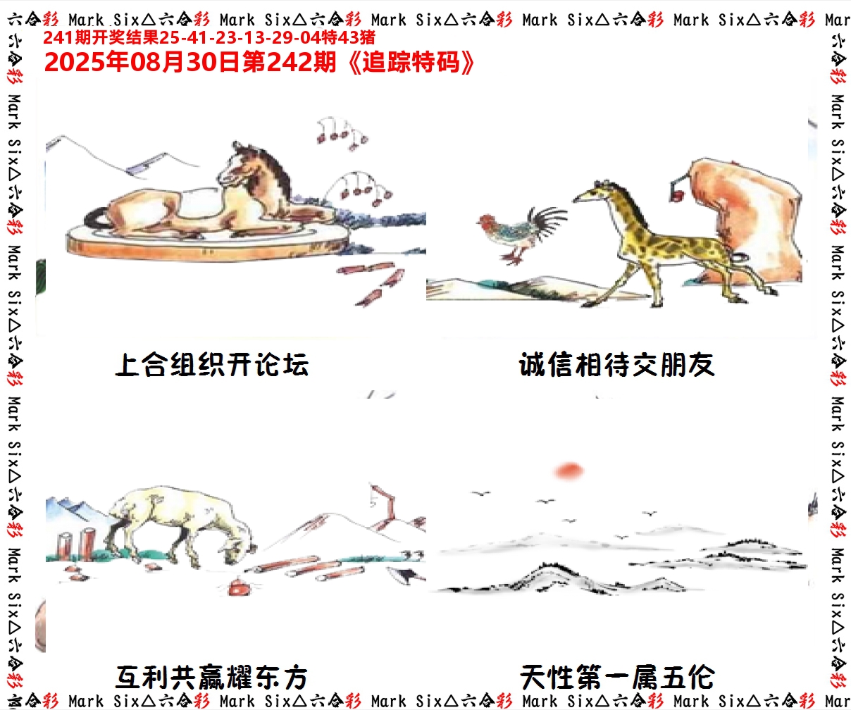 追踪特码 第242期