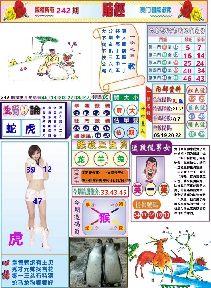 澳门赌经 第242期