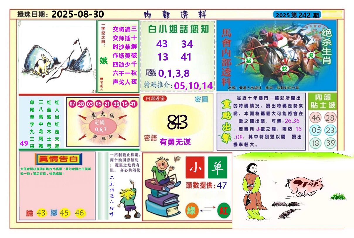 澳门内部透料A 第242期
