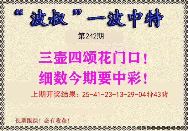 波叔中特 第242期