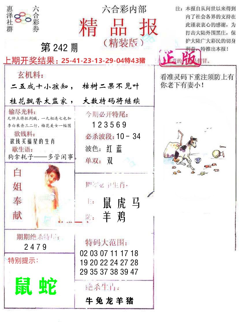 精品报 第242期