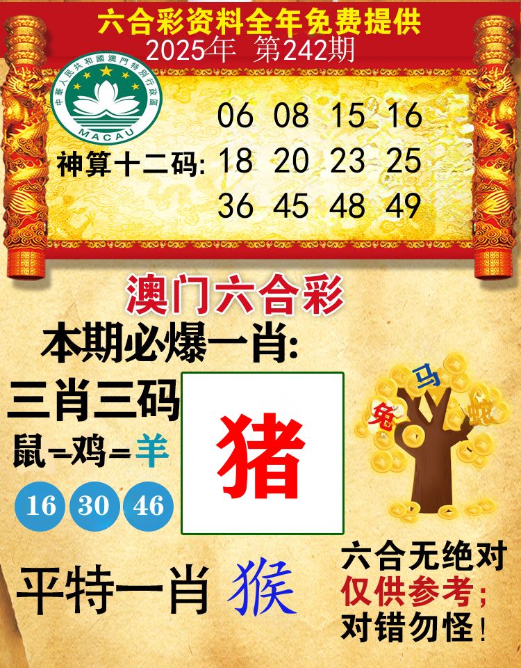 澳门必爆 第242期