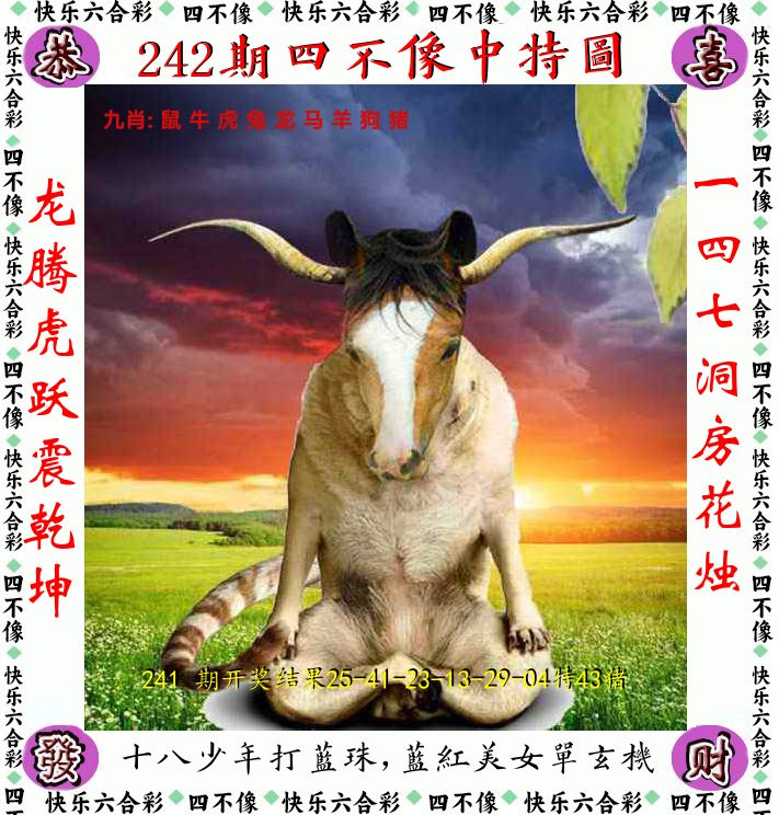四不像 第242期