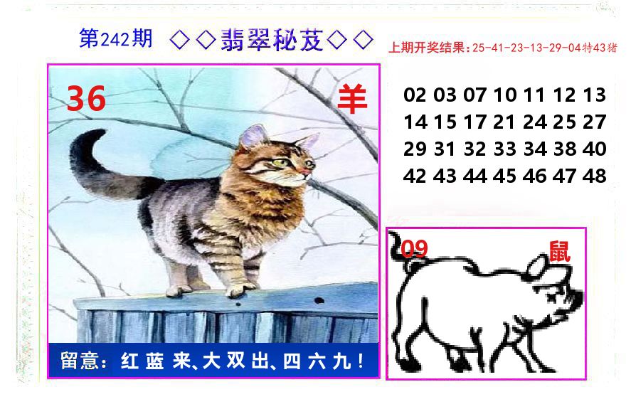 翡翠秘芨 第242期