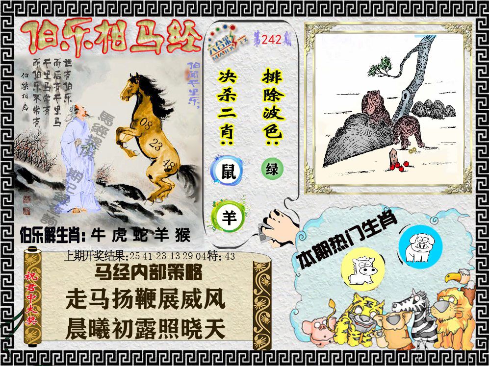 伯乐相马经 第242期