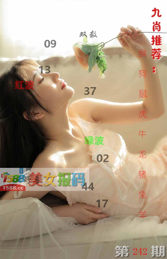 美女报码 第242期