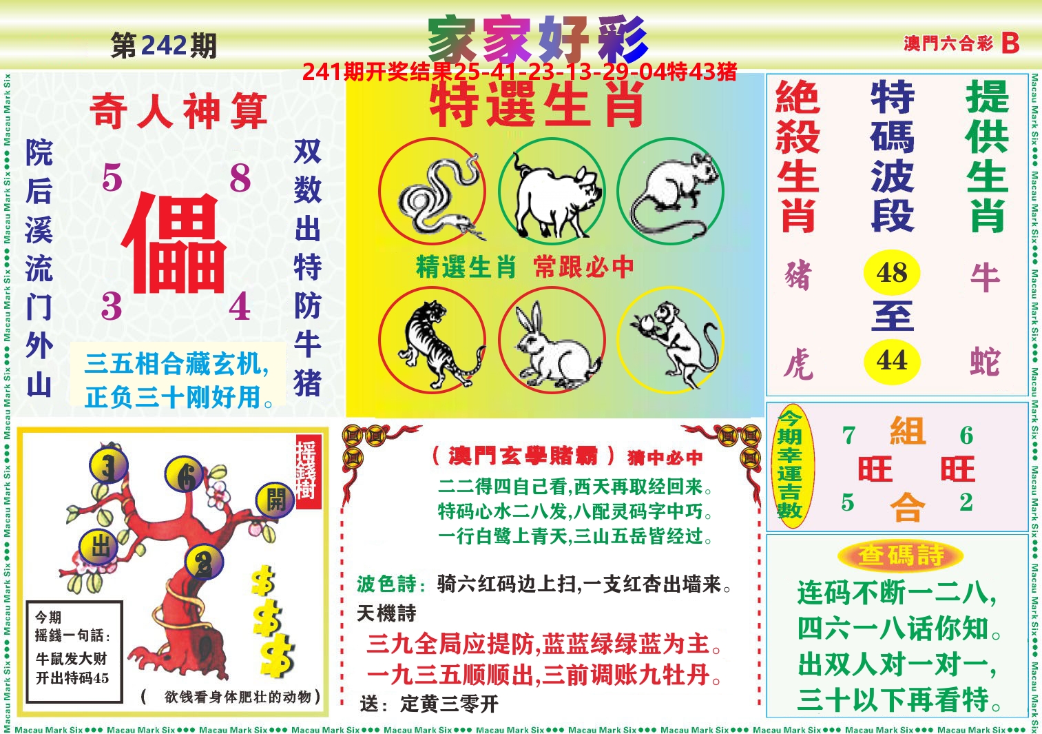 家家好彩B 第242期