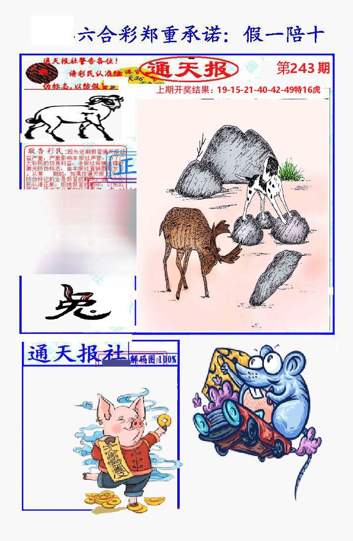 通天报 第243期