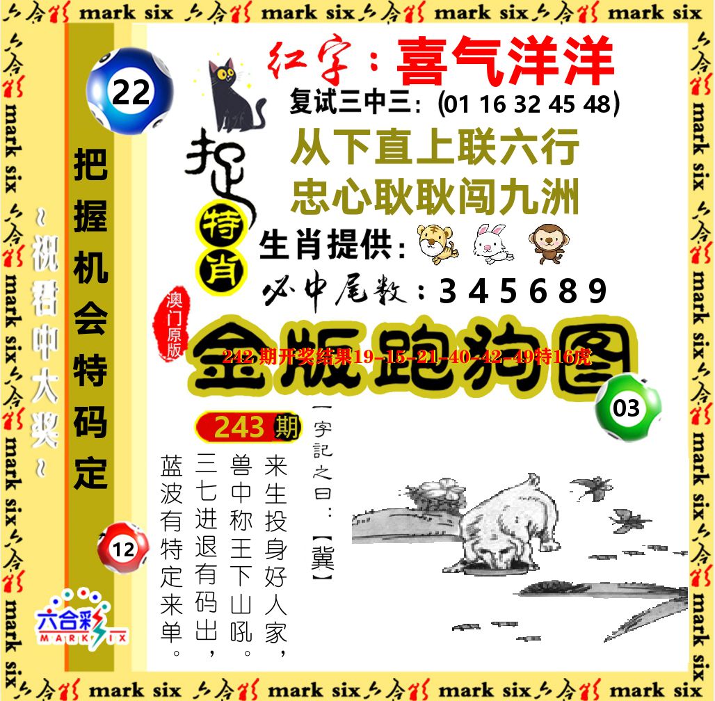 金版跑狗图 第243期