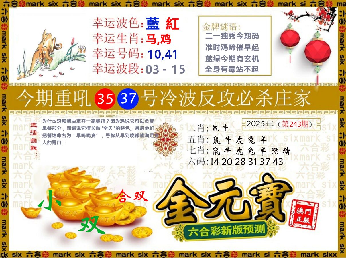 金元宝 第243期