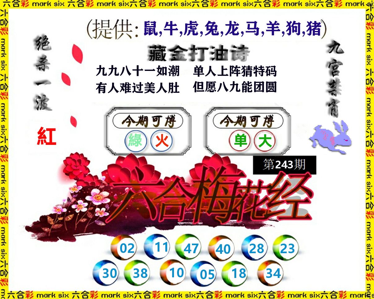 六合梅花经 第243期