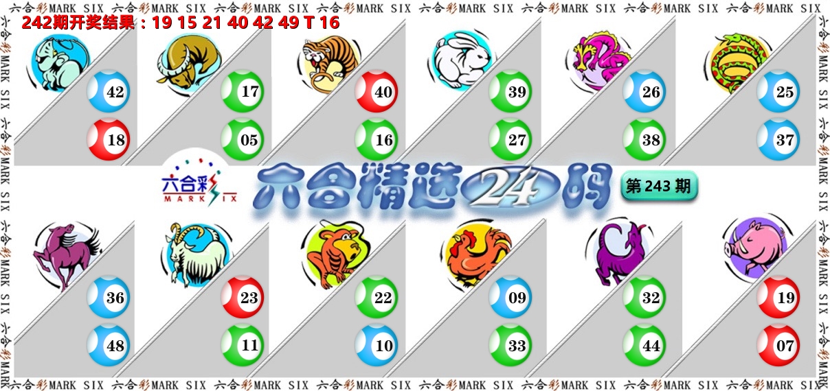 六合精选24码 第243期