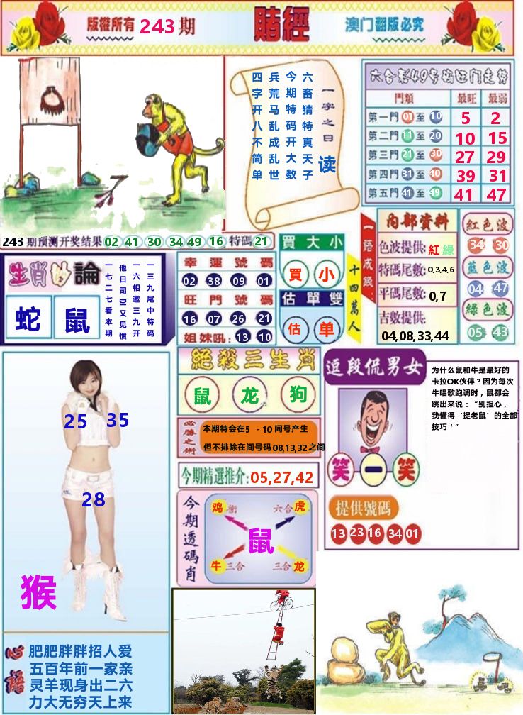 澳门赌经 第243期