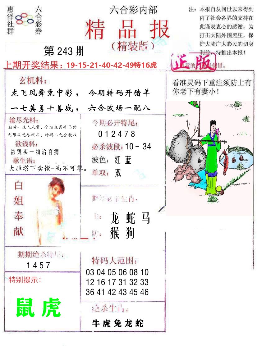 精品报 第243期