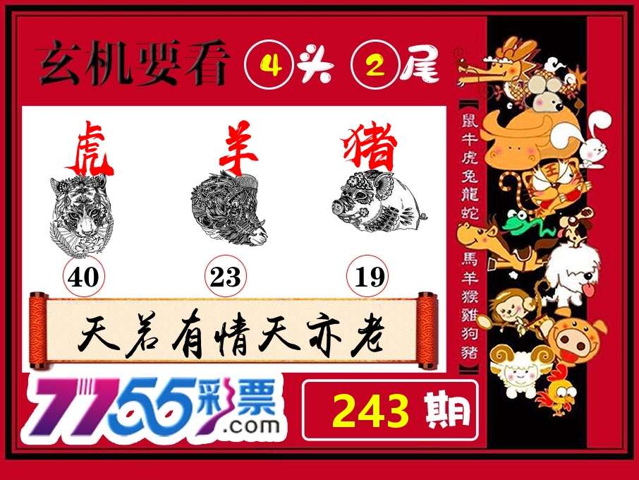玄机要看 第243期