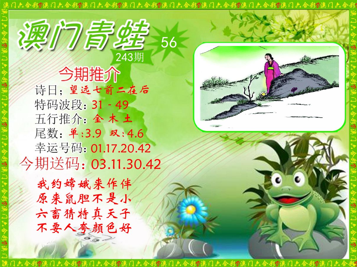 青蛙系列56 第243期
