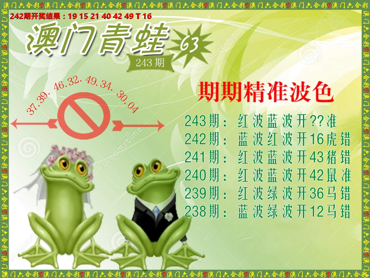青蛙系列63 第243期