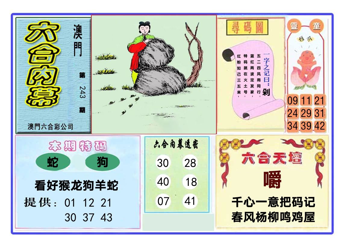 六合内幕 第243期