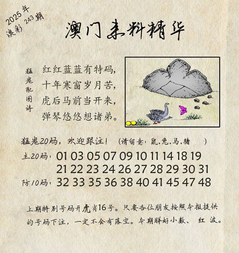 精华来料 第243期