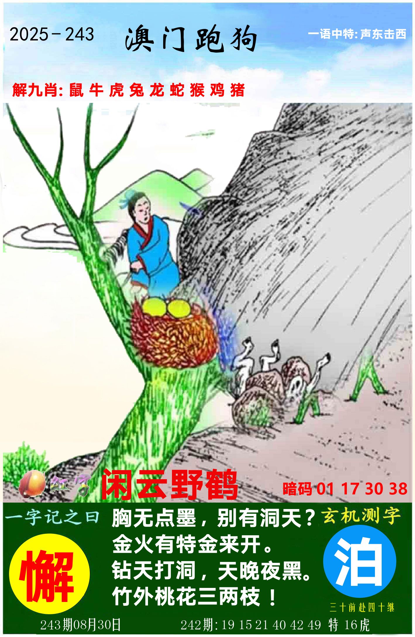 澳门跑狗图 第243期