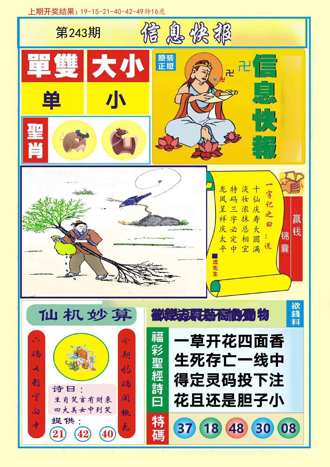 信息快报 第243期