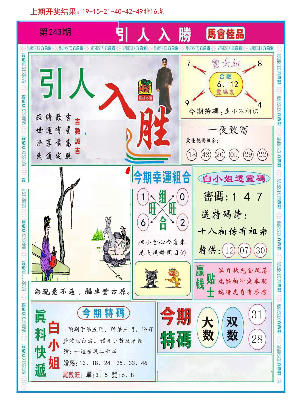 引人入胜 第243期