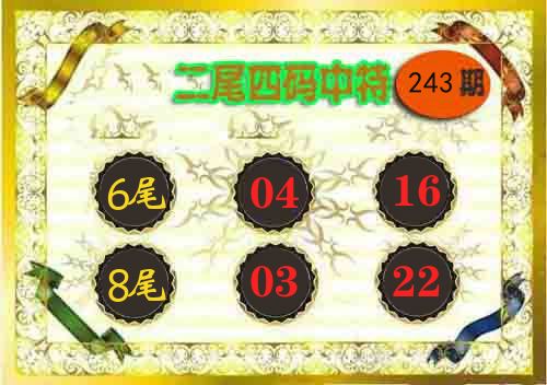 二尾四码中特 第243期