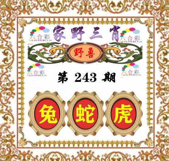 家野三肖 第243期
