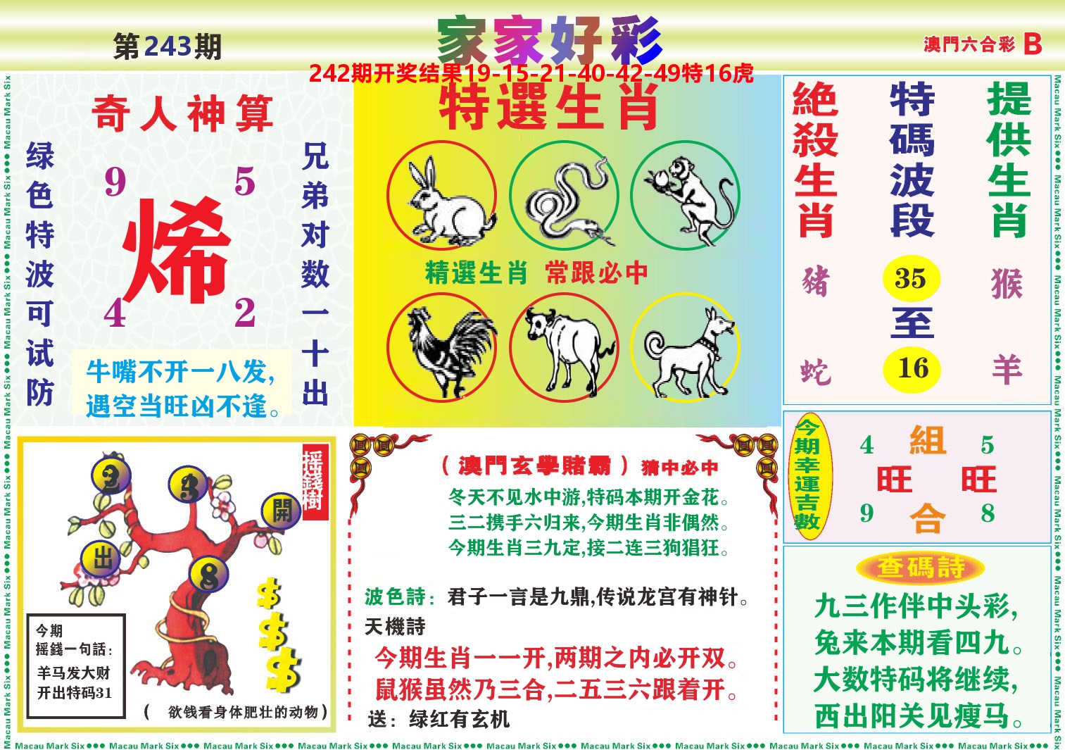 家家好彩B 第243期