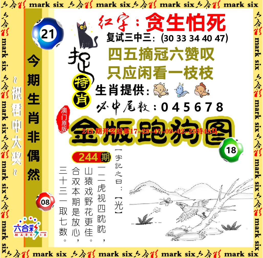 金版跑狗图 第244期