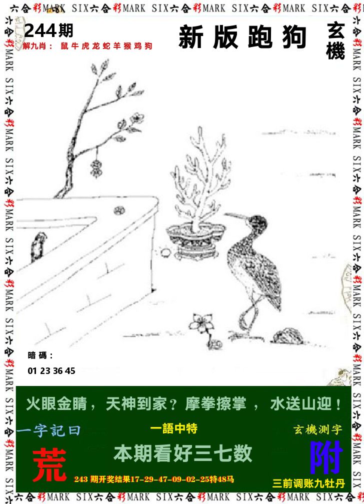 悟入其图 第244期
