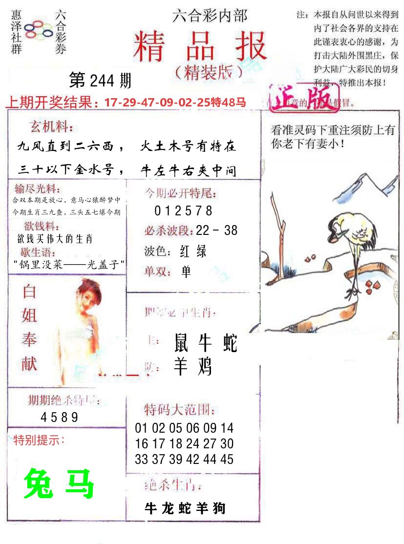 精品报 第244期