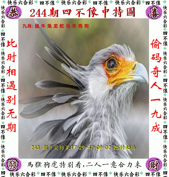 四不像 第244期