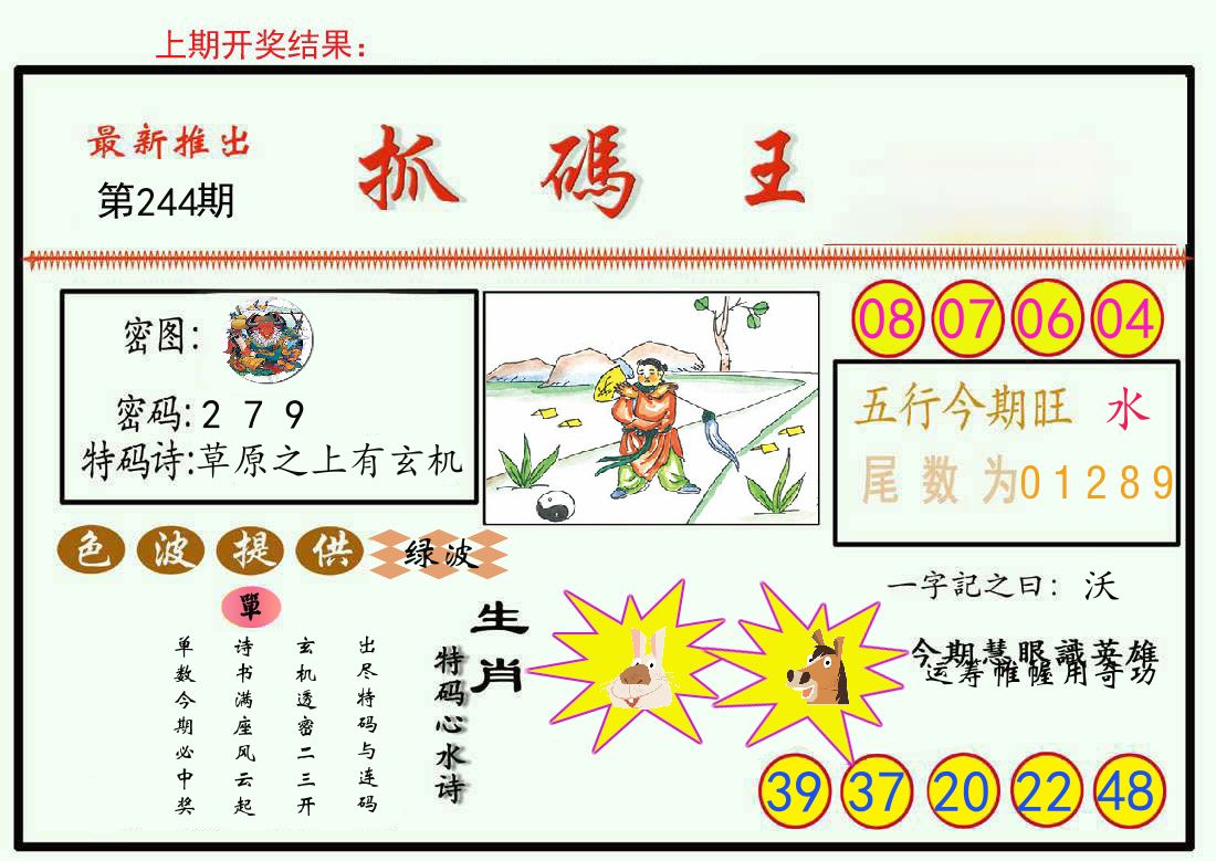 最新抓码王 第244期