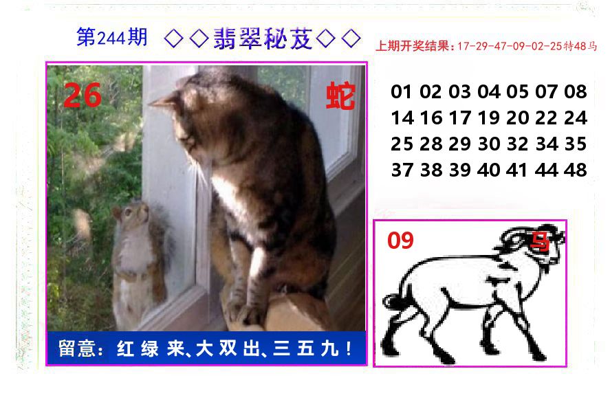 翡翠秘芨 第244期